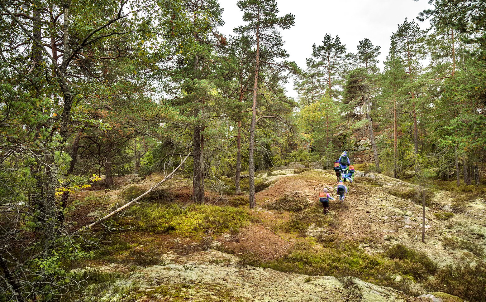 Räven Mini